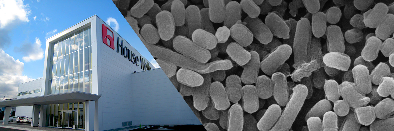 Resource Library  Our Journey with HK L-137 Our labs have been devoted to the clinical study of this remarkable ingredient for over a decade. Find out why immunobiotics will lead trends in self-care, and promoting and maintaining natural immunity for gene