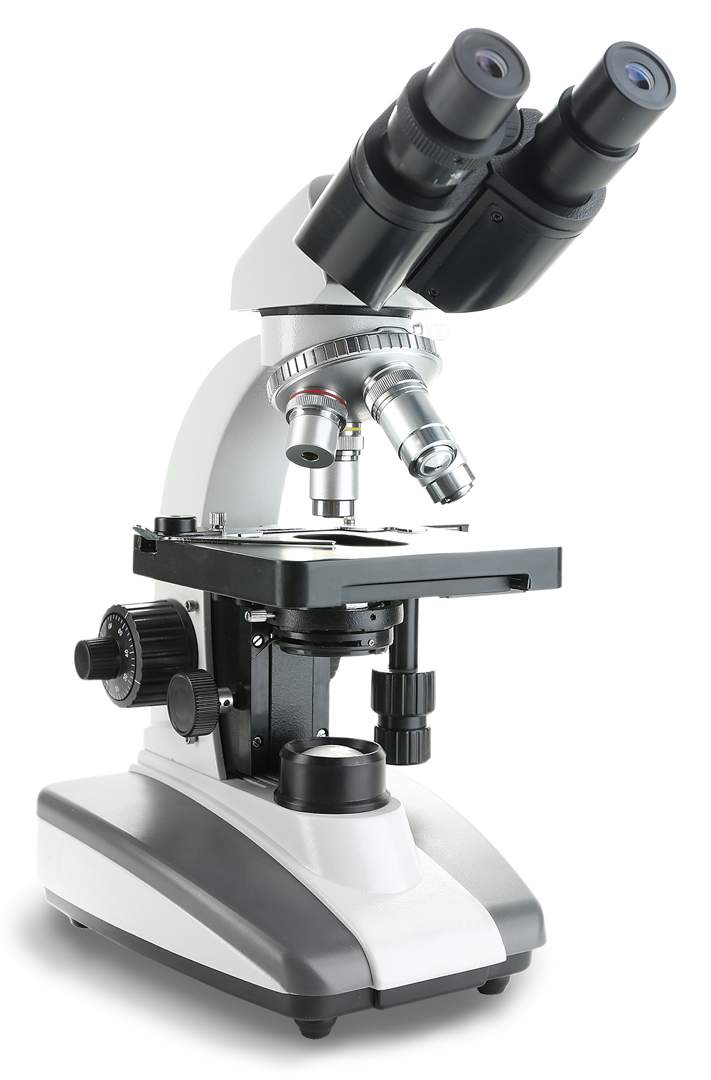 Stereo Microscope
